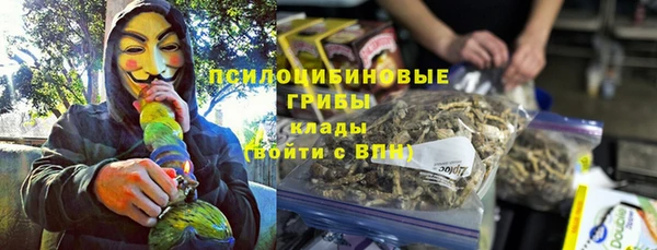 прущая мука Арсеньев