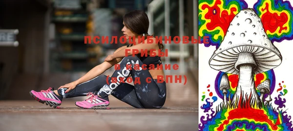 метадон Армянск