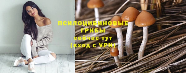 метадон Армянск