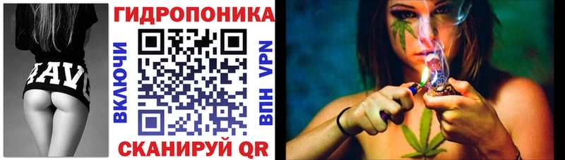 Шишки марихуана сатива  магазин    Рошаль 